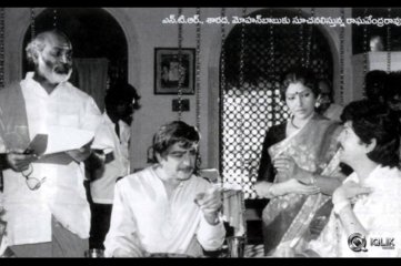 NTR Birthday Special Gallery